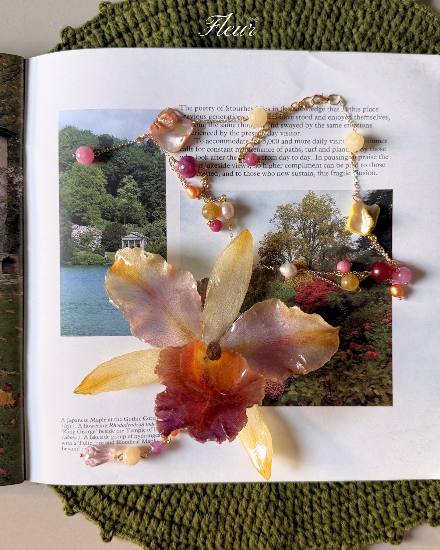 Princess Aurora Orchid