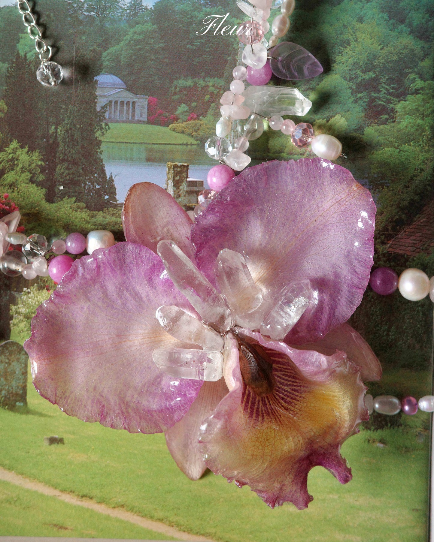 Crystal Orchid Dream