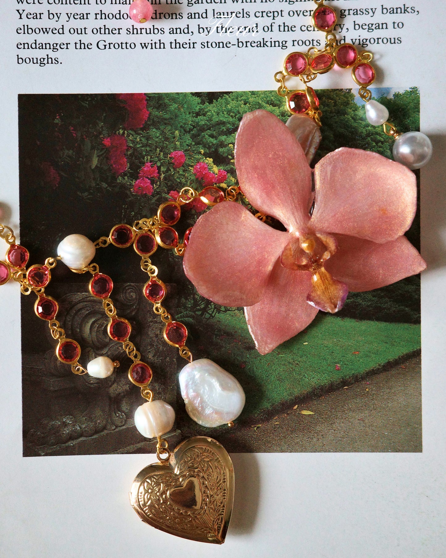 Rosé Orchid Dream