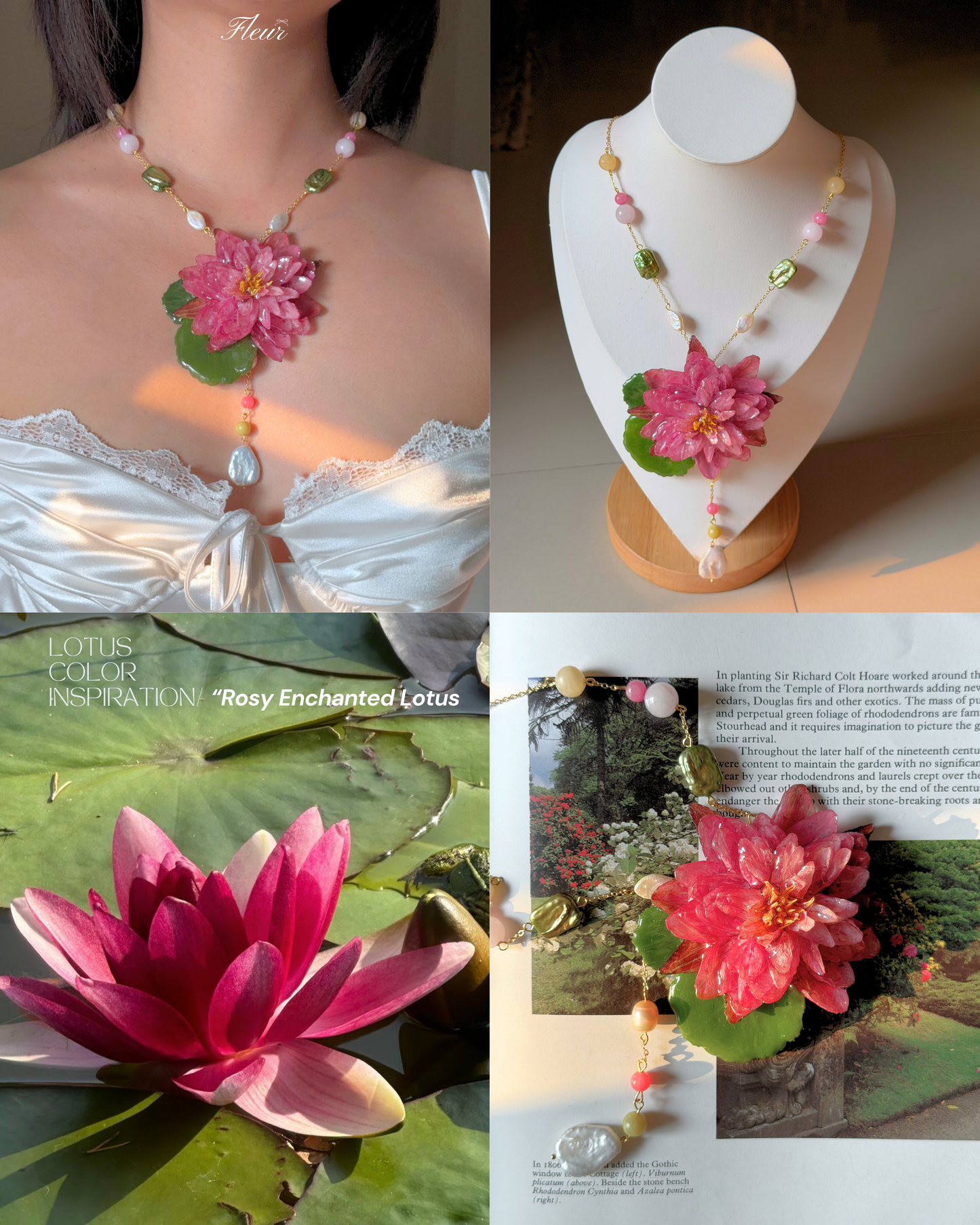 Rosy Enchanted Lotus