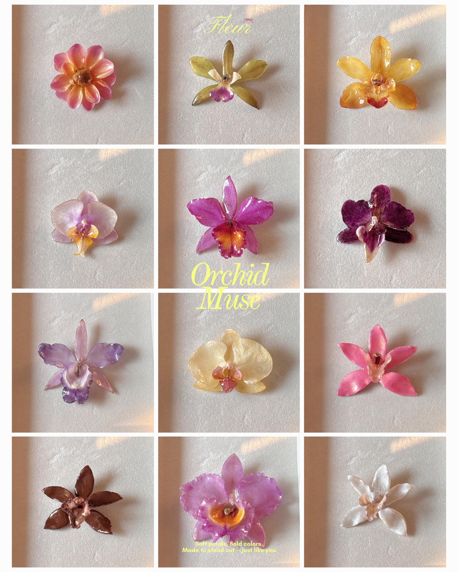 All Collection
