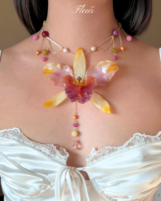 Princess Aurora Orchid