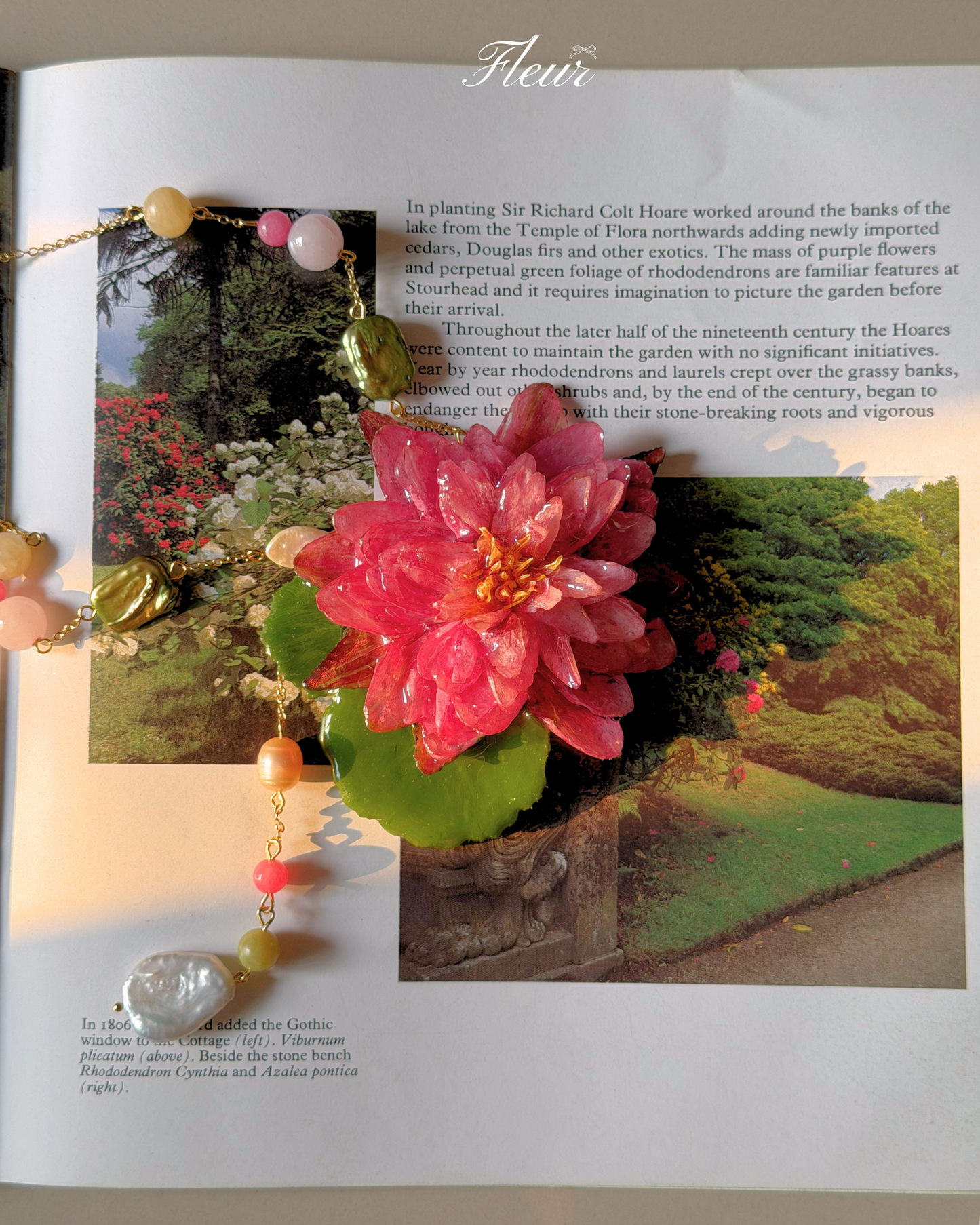 Rosy Enchanted Lotus