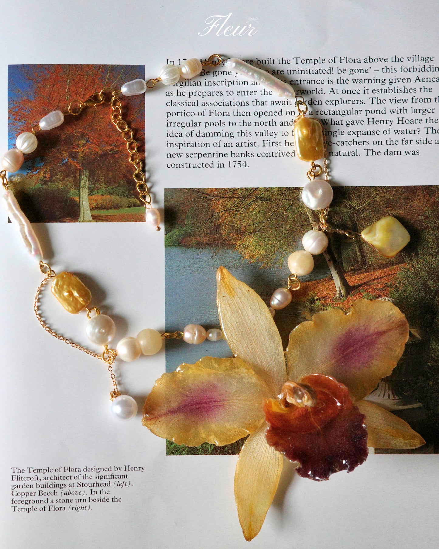 Golden Orchid Reverie