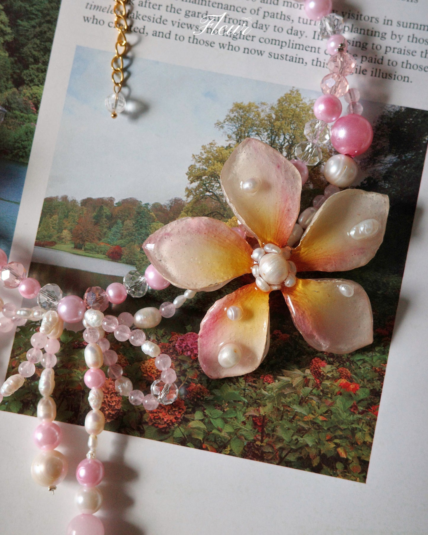 Pink Plumeria Dream