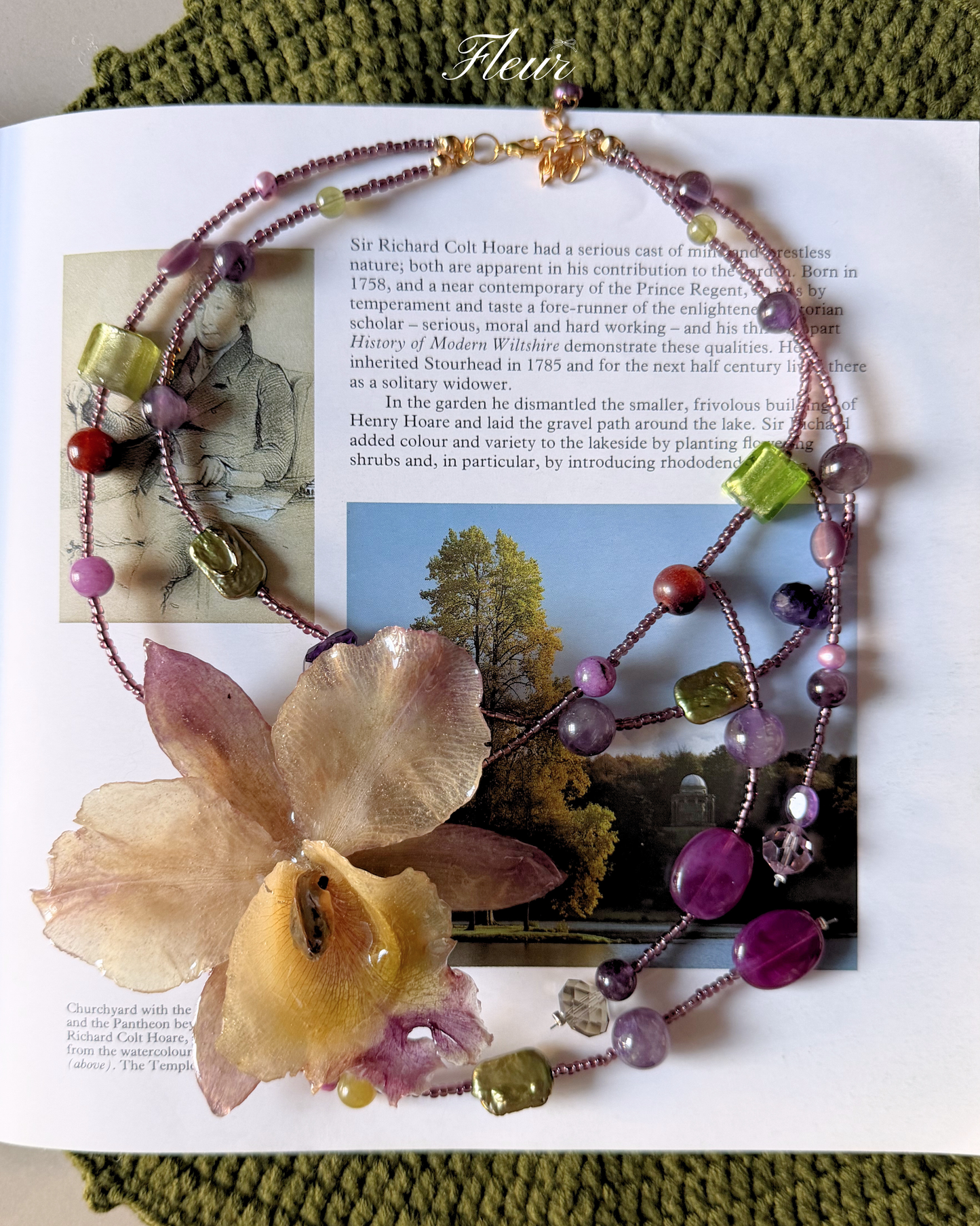 Royal Amethyst Orchid
