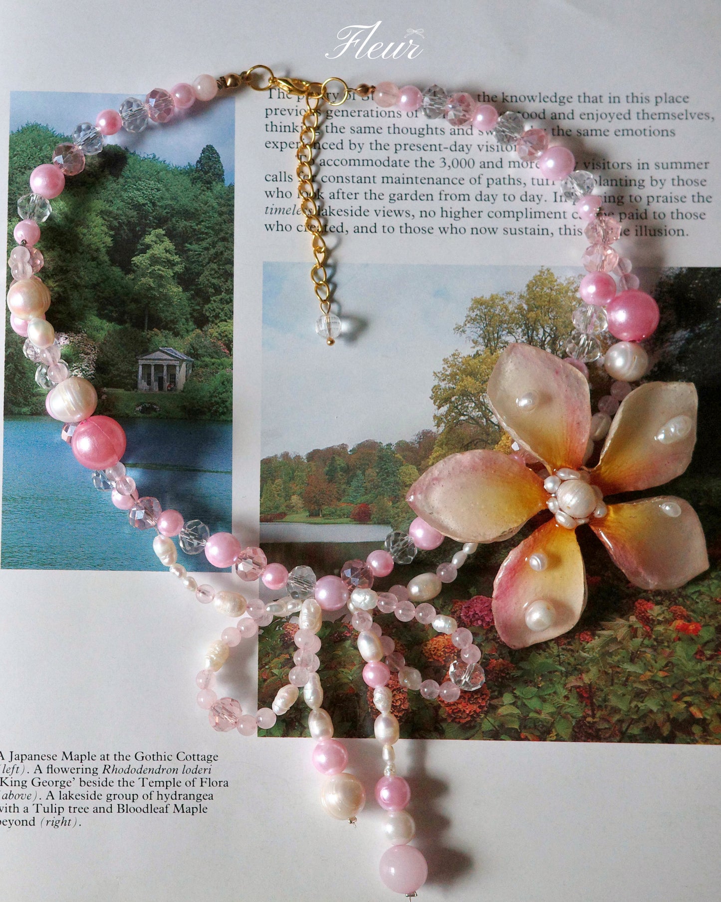 Pink Plumeria Dream