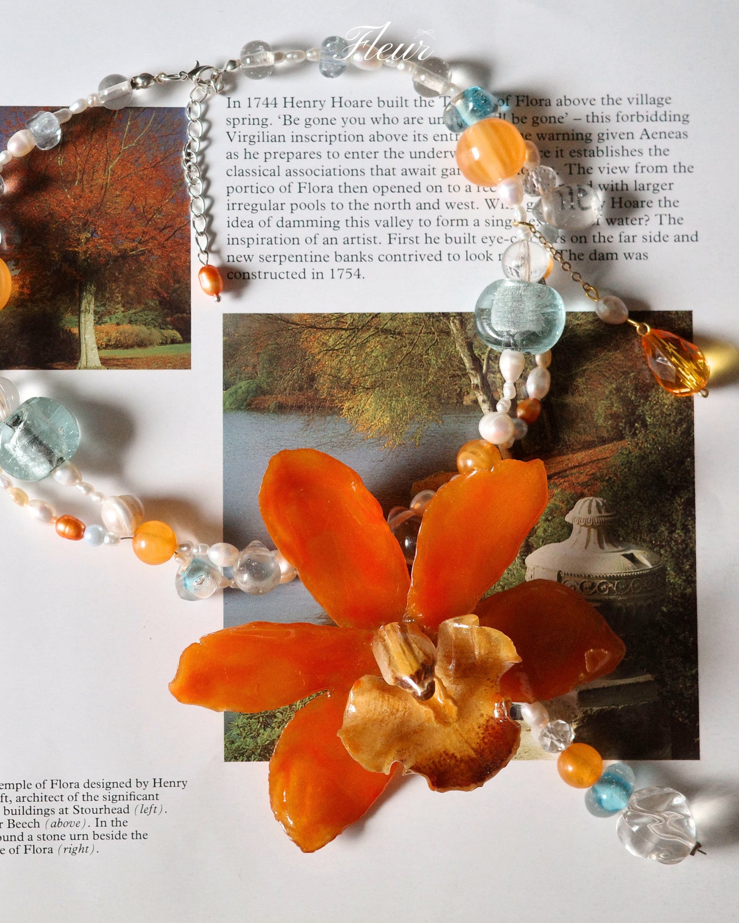 Tangerine Orchid Dream