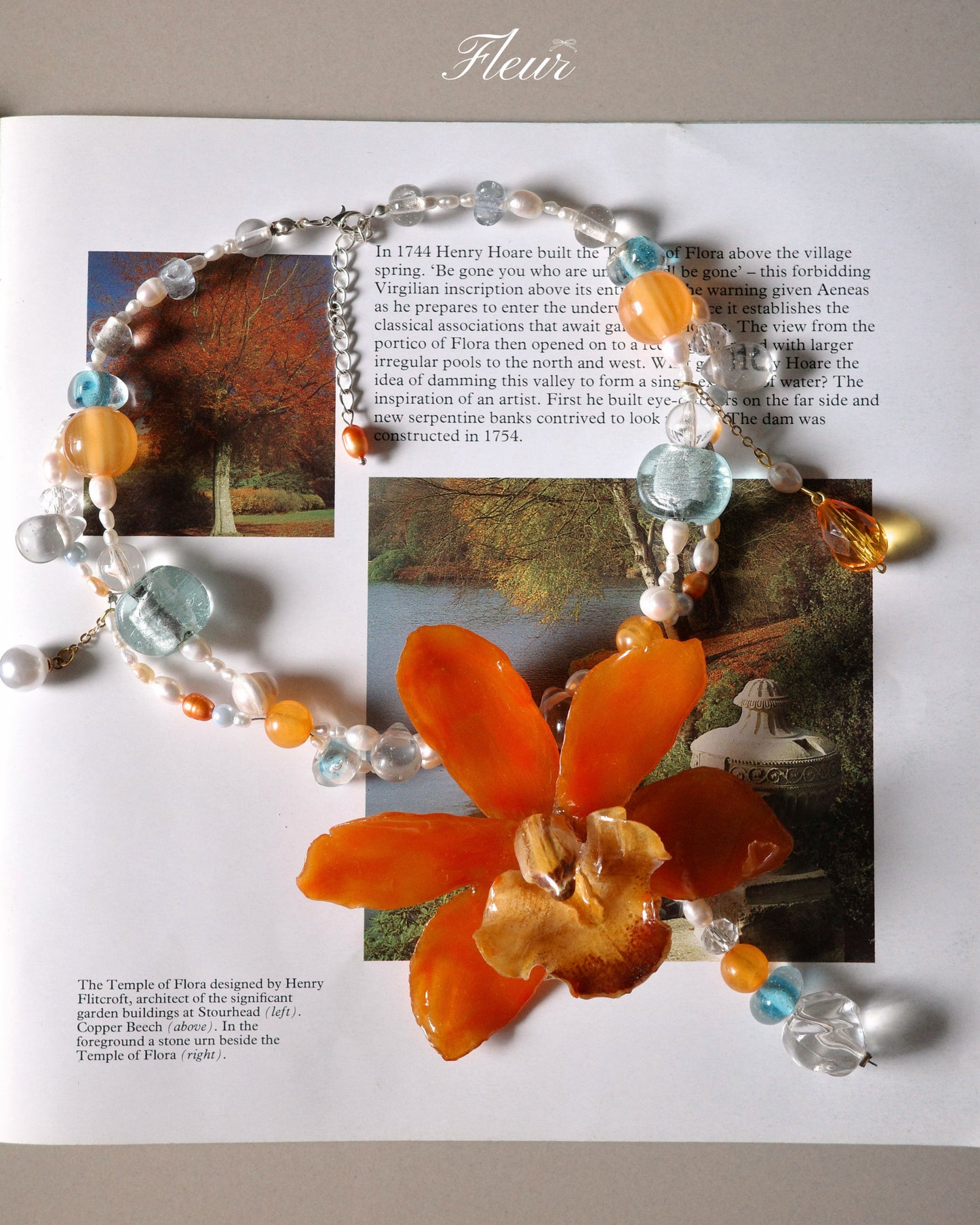 Tangerine Orchid Dream