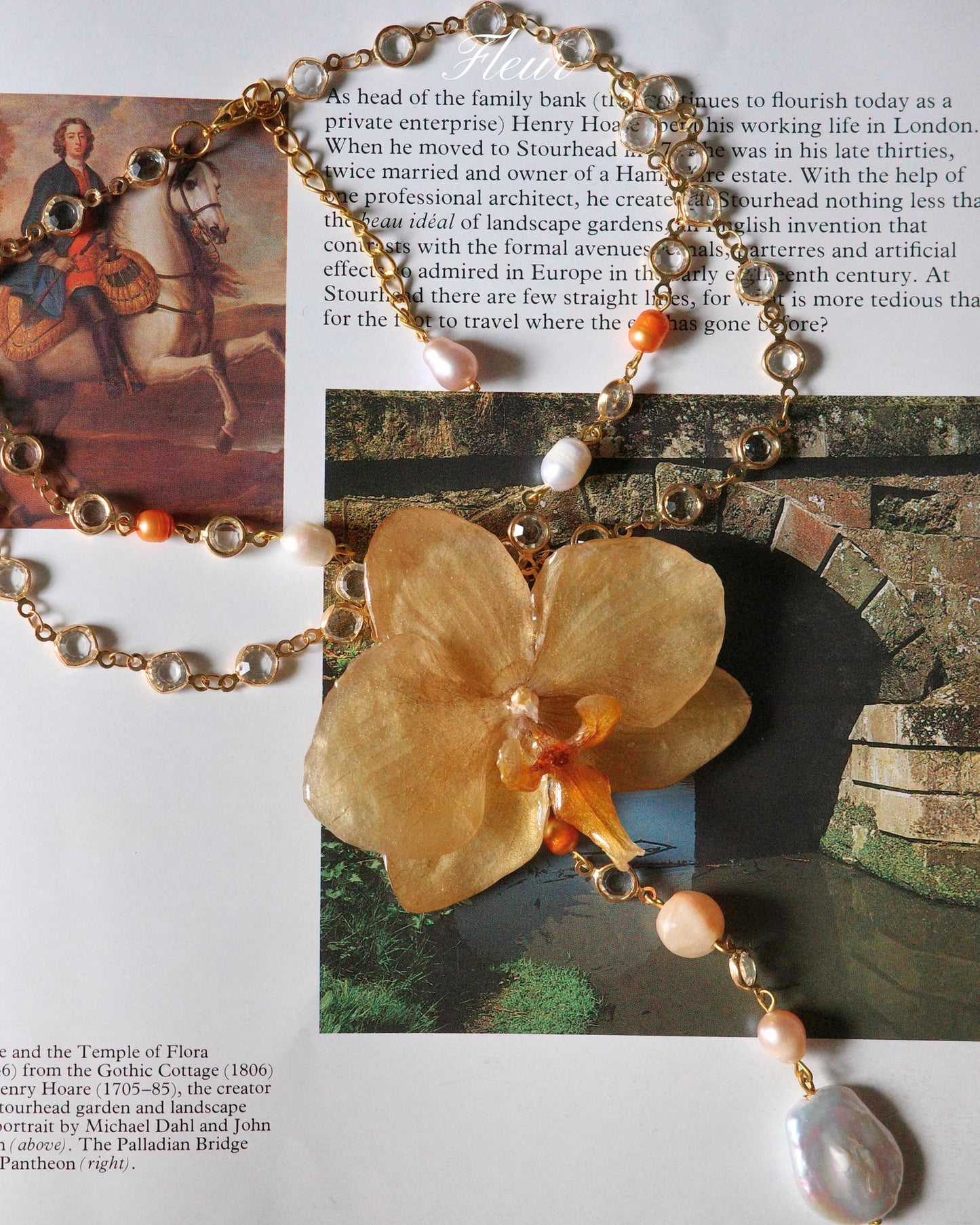 Champagne Orchid Dream