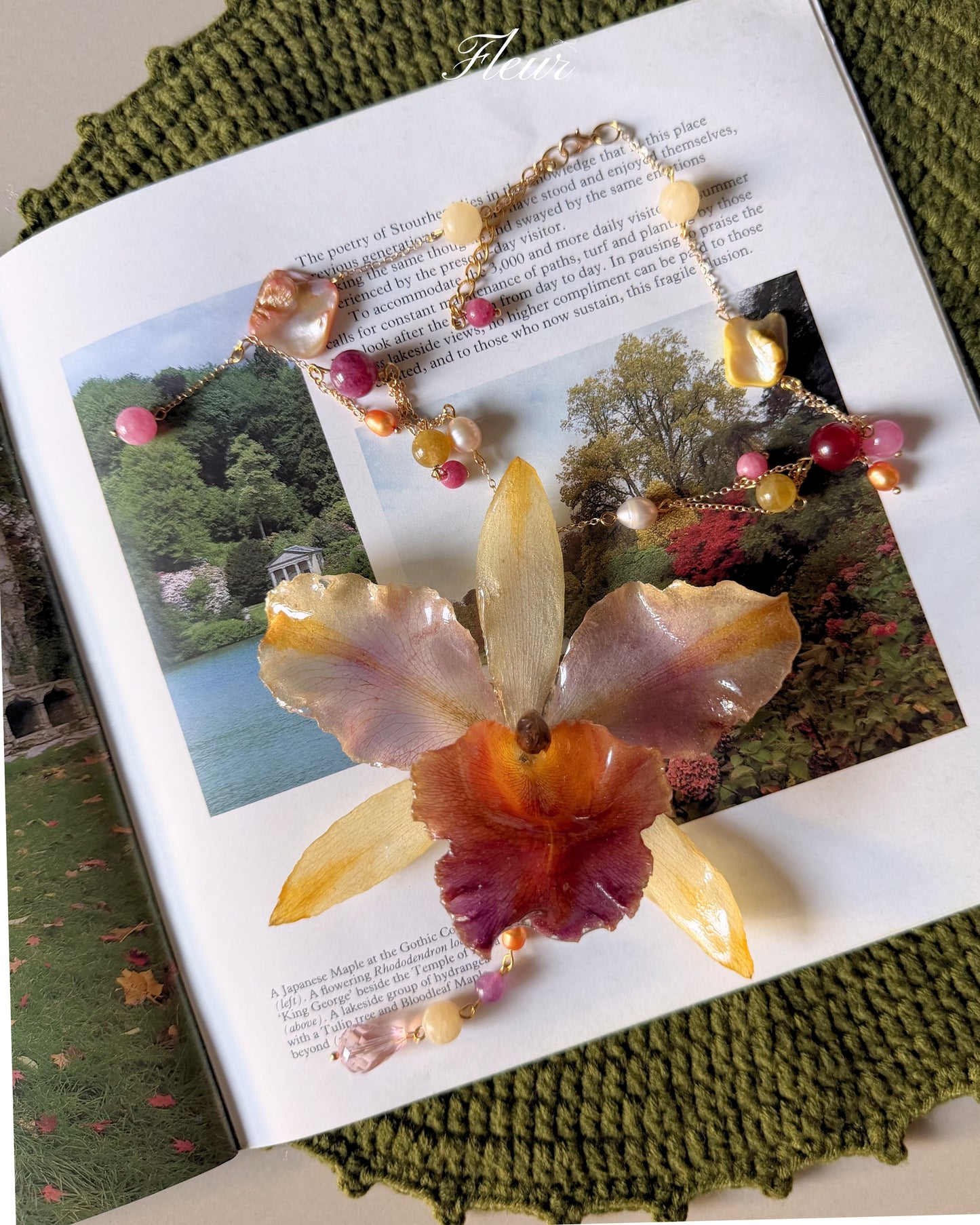 Princess Aurora Orchid