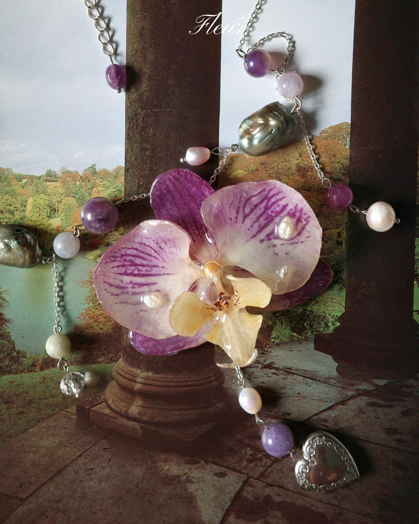 Lavender Orchid Dream