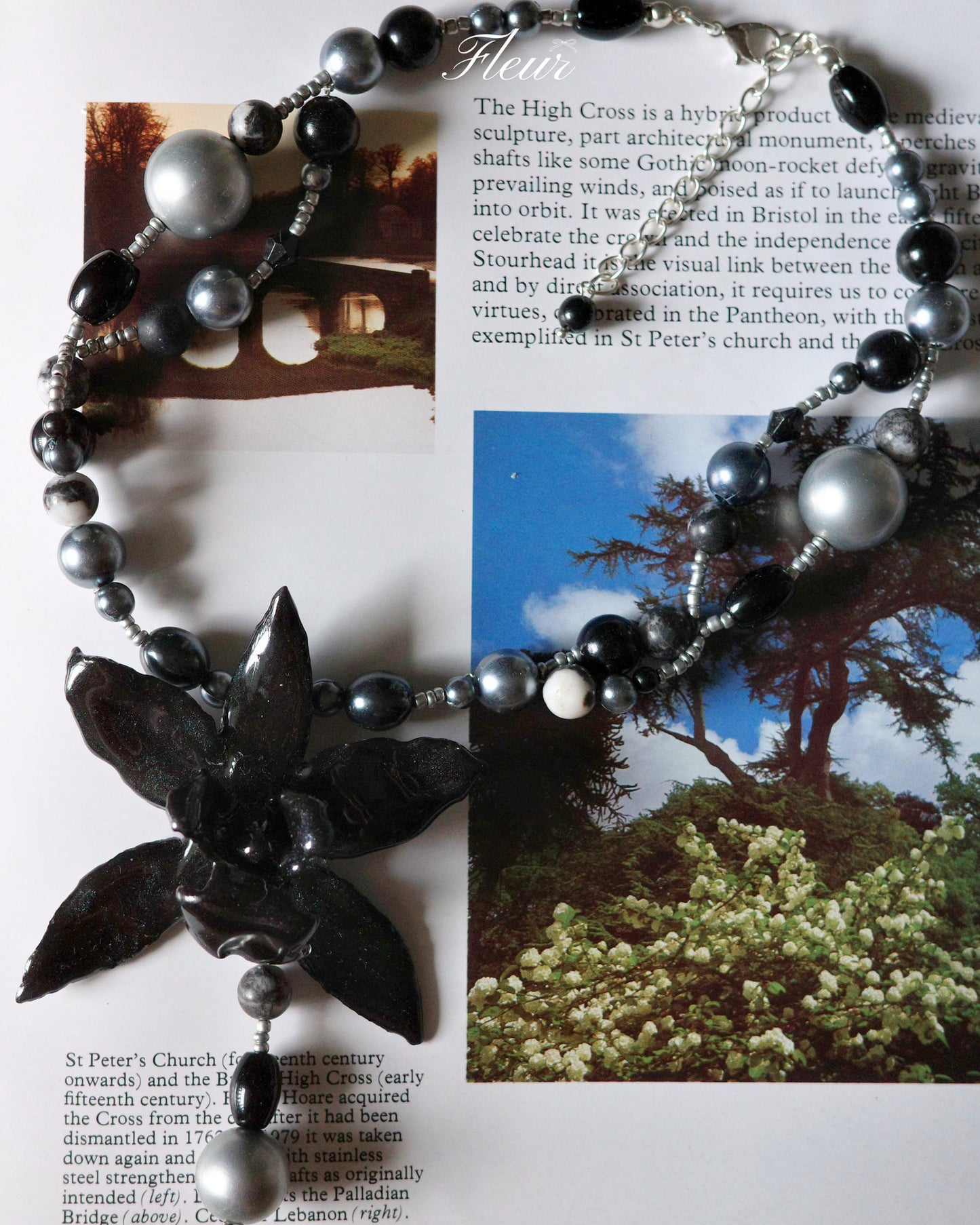 Midnight Orchid Dream