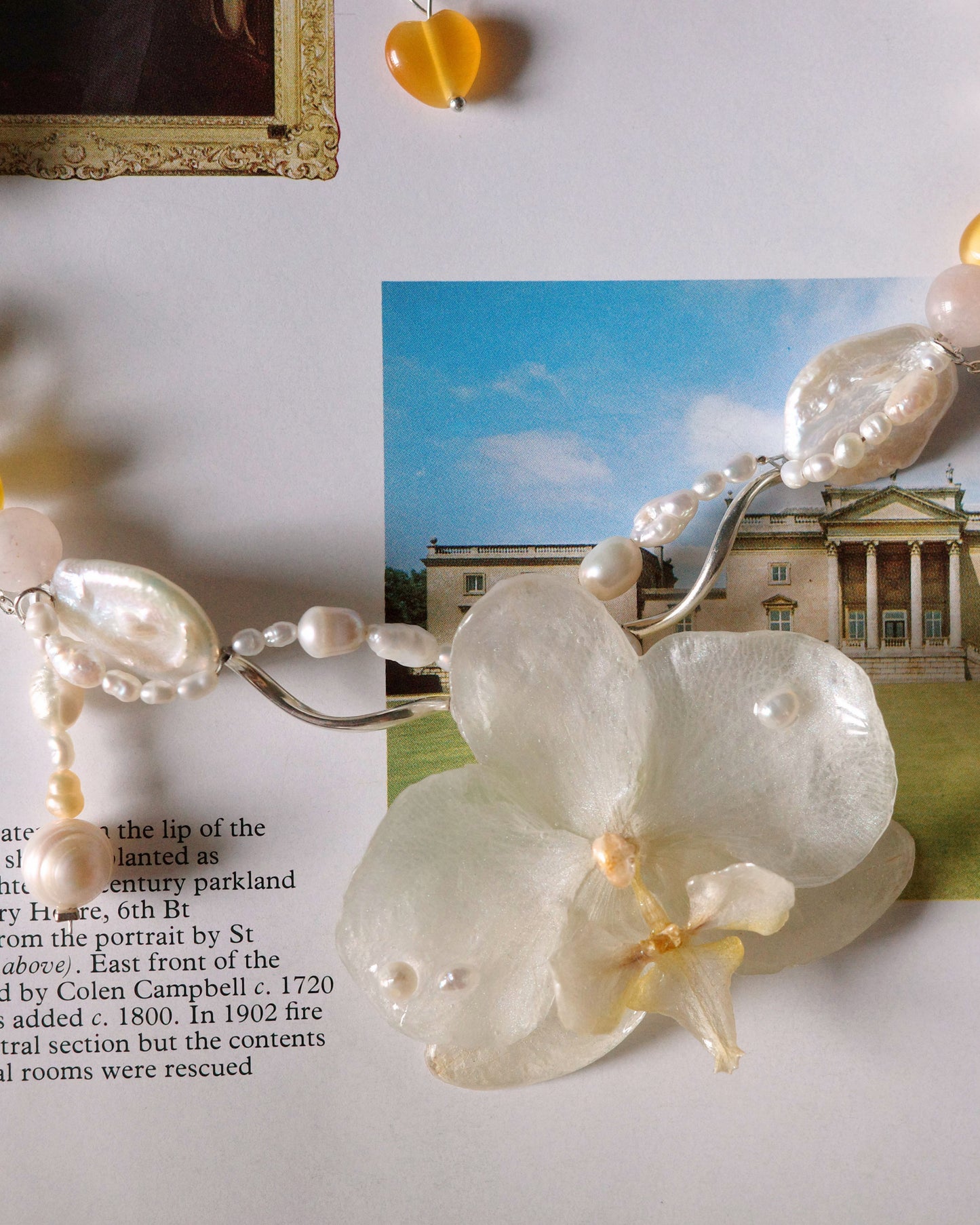 Ivory Orchid Dream