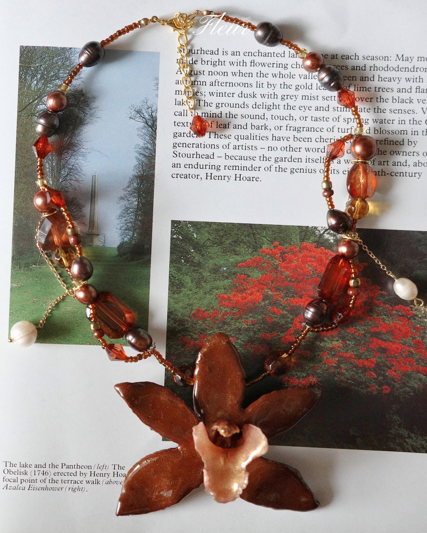 Amber Orchid Dream