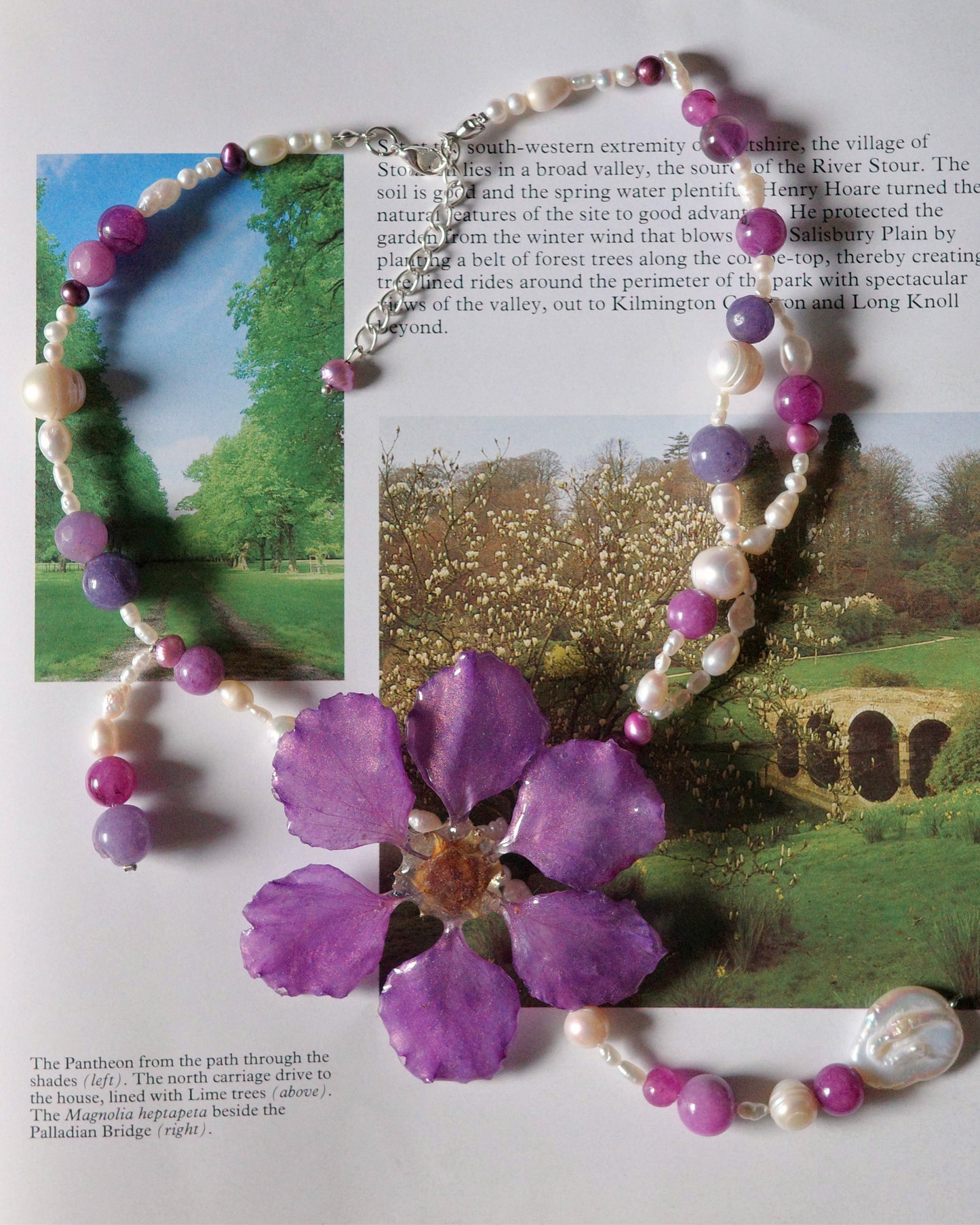 Violet Blossom Dream