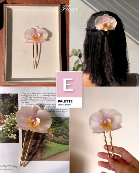Sakura Blush