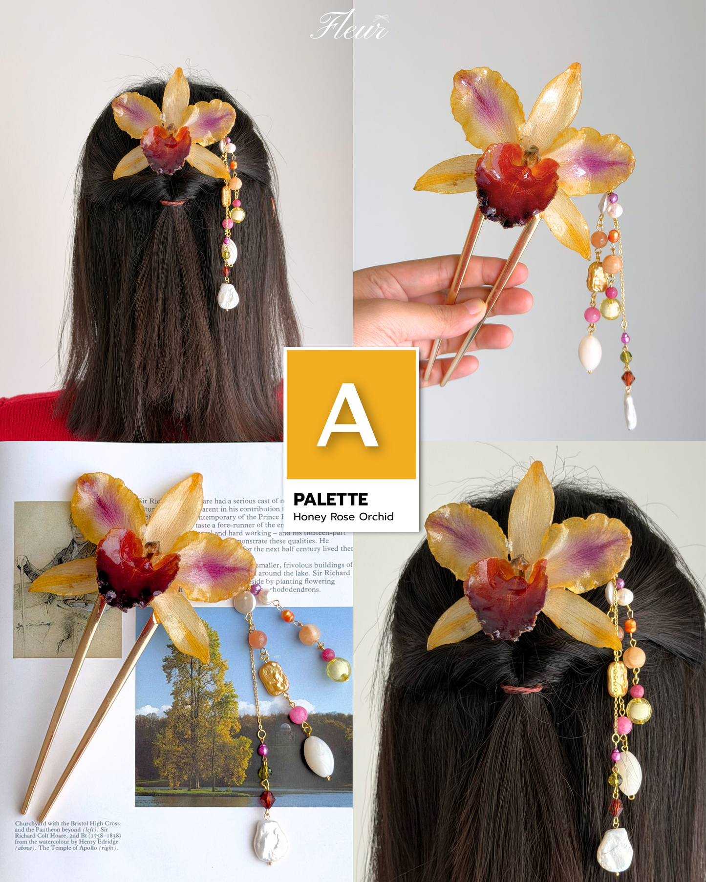 Honey Rose Orchid