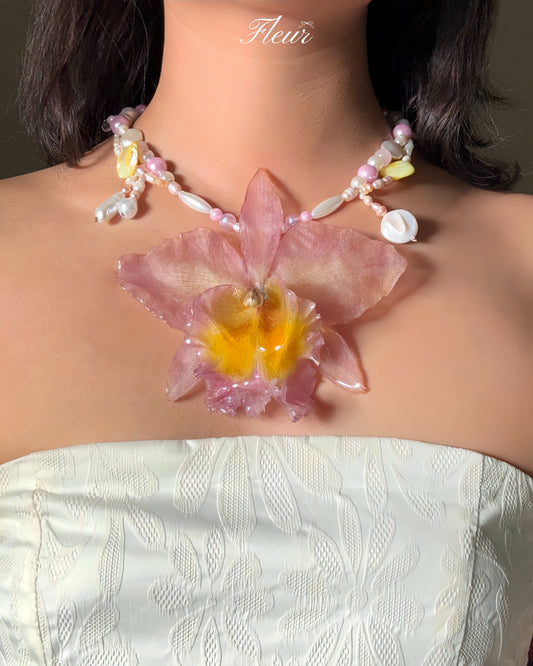 Orchid dreams in delicate pink