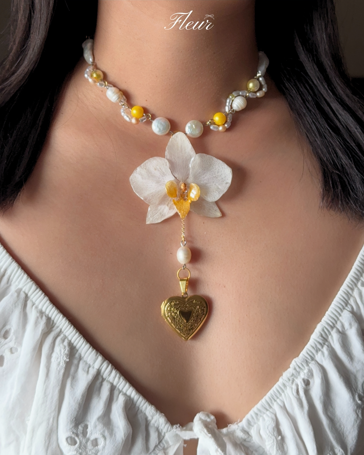 Golden Heart Orchid