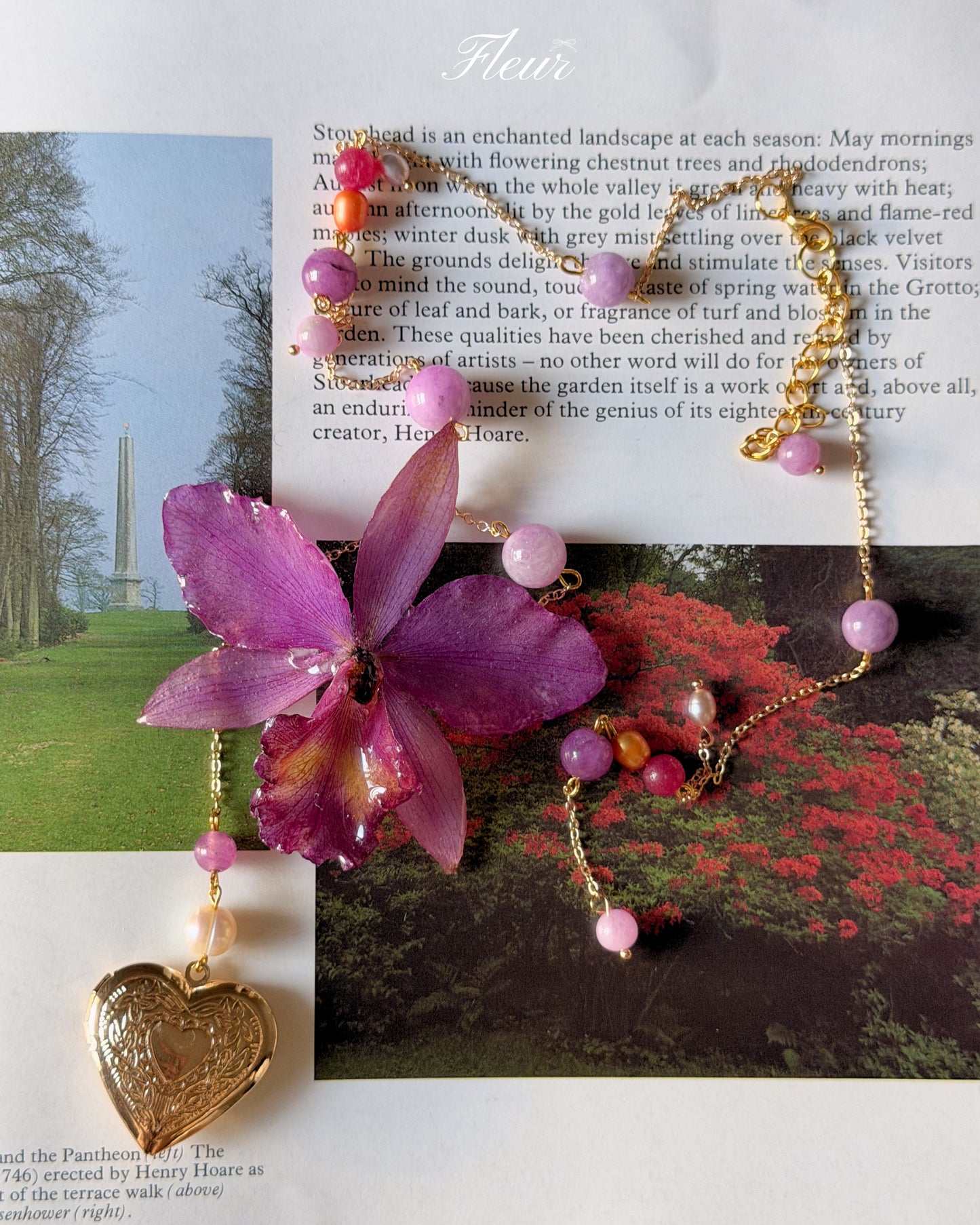 Enchanted Heart Orchid