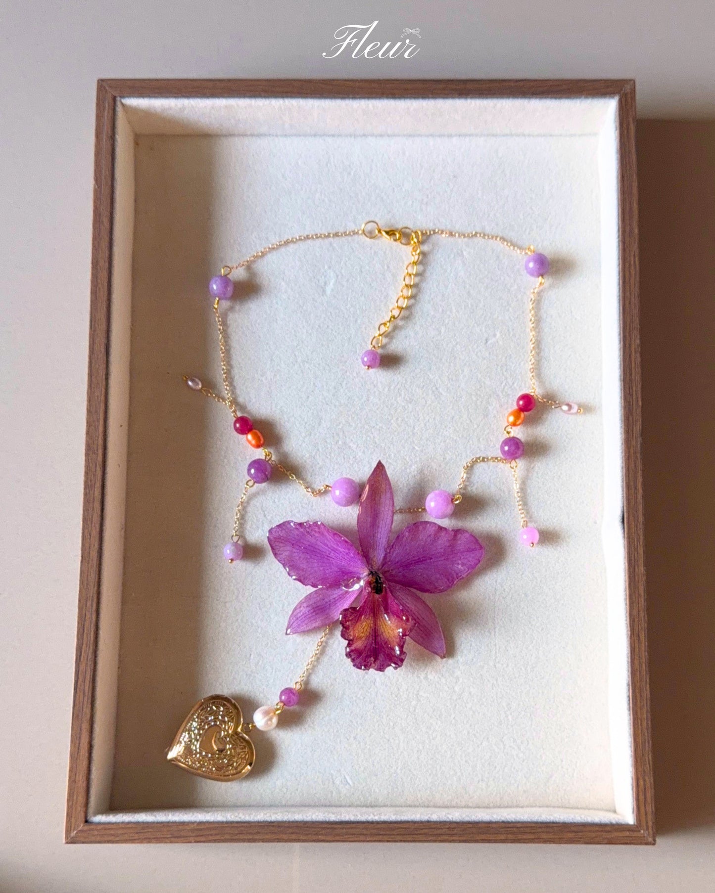 Enchanted Heart Orchid