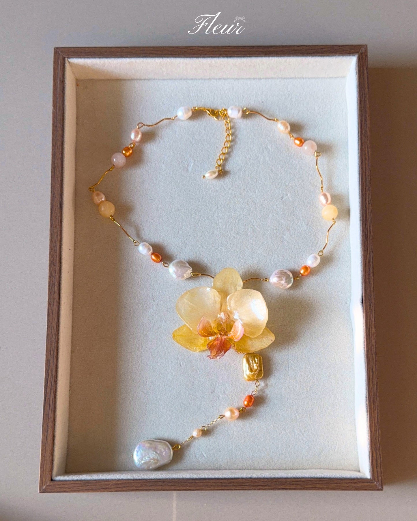 Golden Dawn Orchid