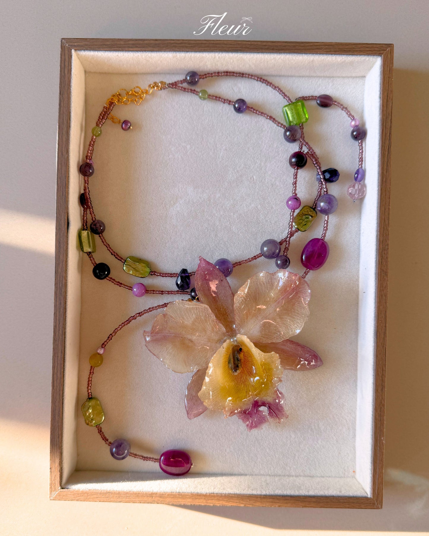 Royal Amethyst Orchid