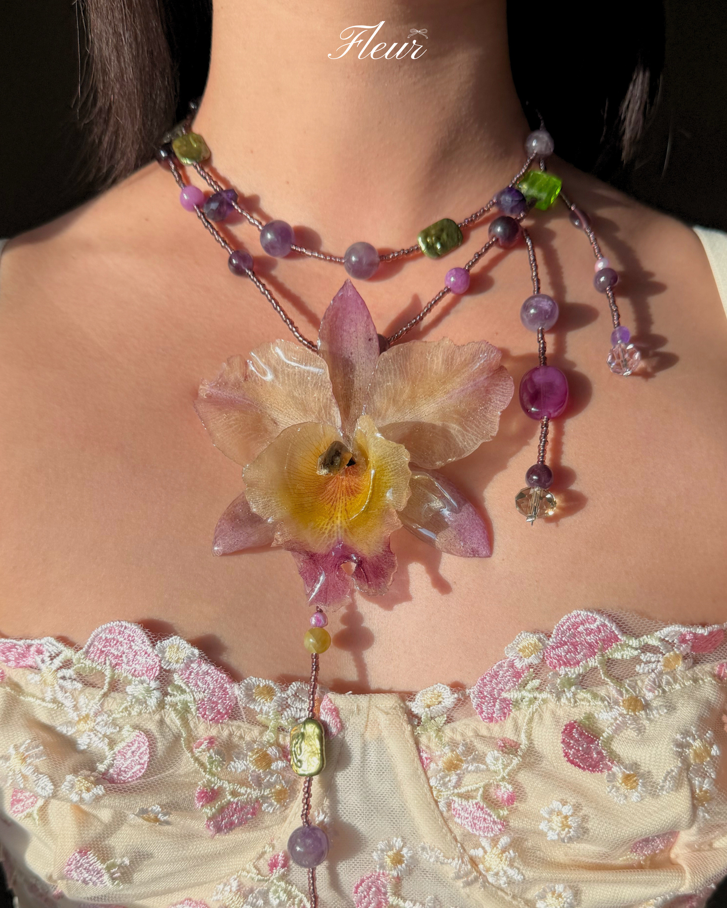 Royal Amethyst Orchid